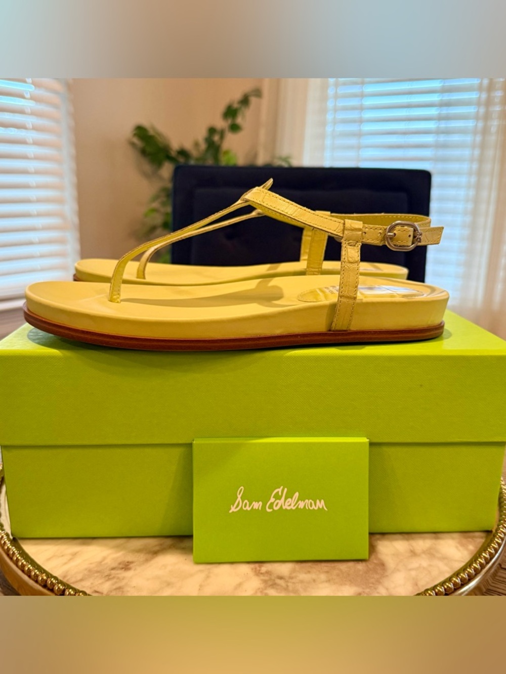 Sam Edelman Naomi Leather T-Strap Sandals | Sz. 6.5M | Kiwi/Pale Green (NWB)